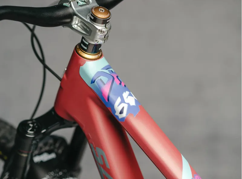 Dyedbro Frame Protection -DB650 Purple Matte